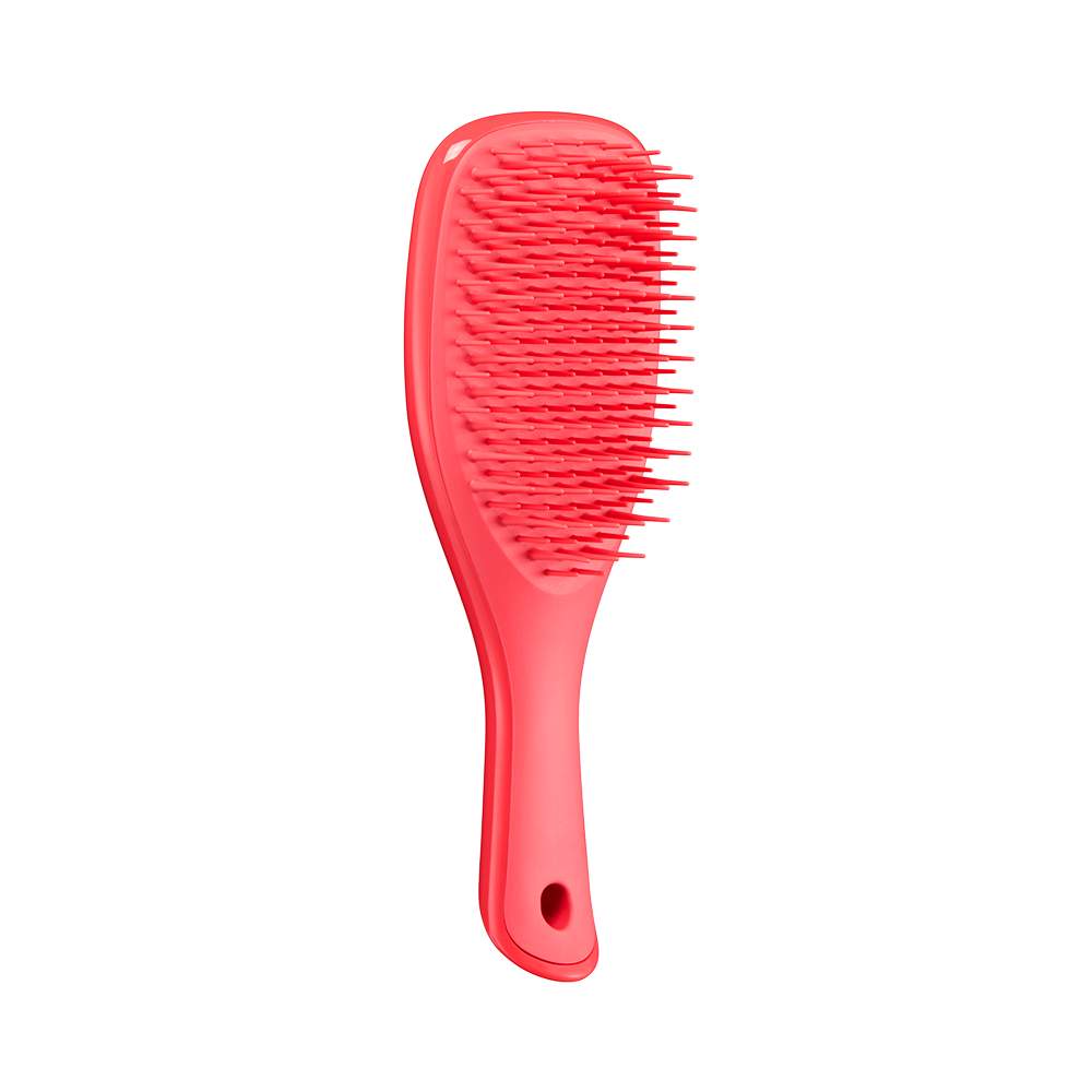 Щітка для волосся Tangle Teezer The Wet Detangler Mini Pink Punch